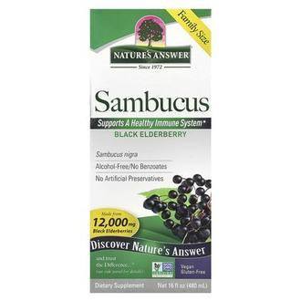Nature's Answer Sambucus, Black Elderberry, Alcohol-Free, 2,500 mg, 16 fl oz (480 ml)